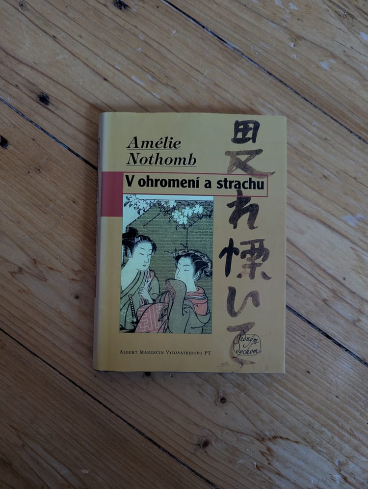 V ohromení a strachu