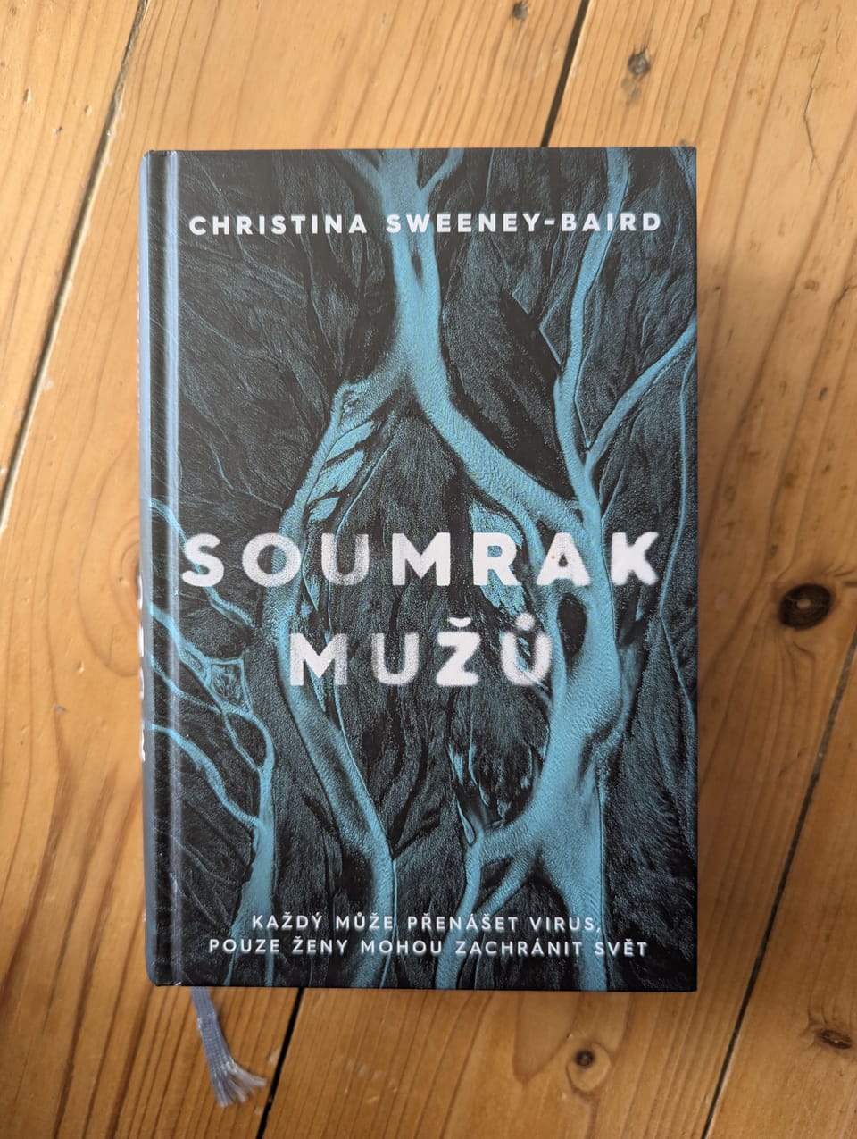 Soumrak mužů